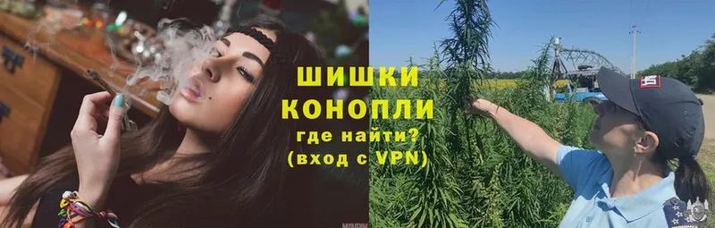 MEGA онион  наркошоп  Бабаево  Канабис White Widow 